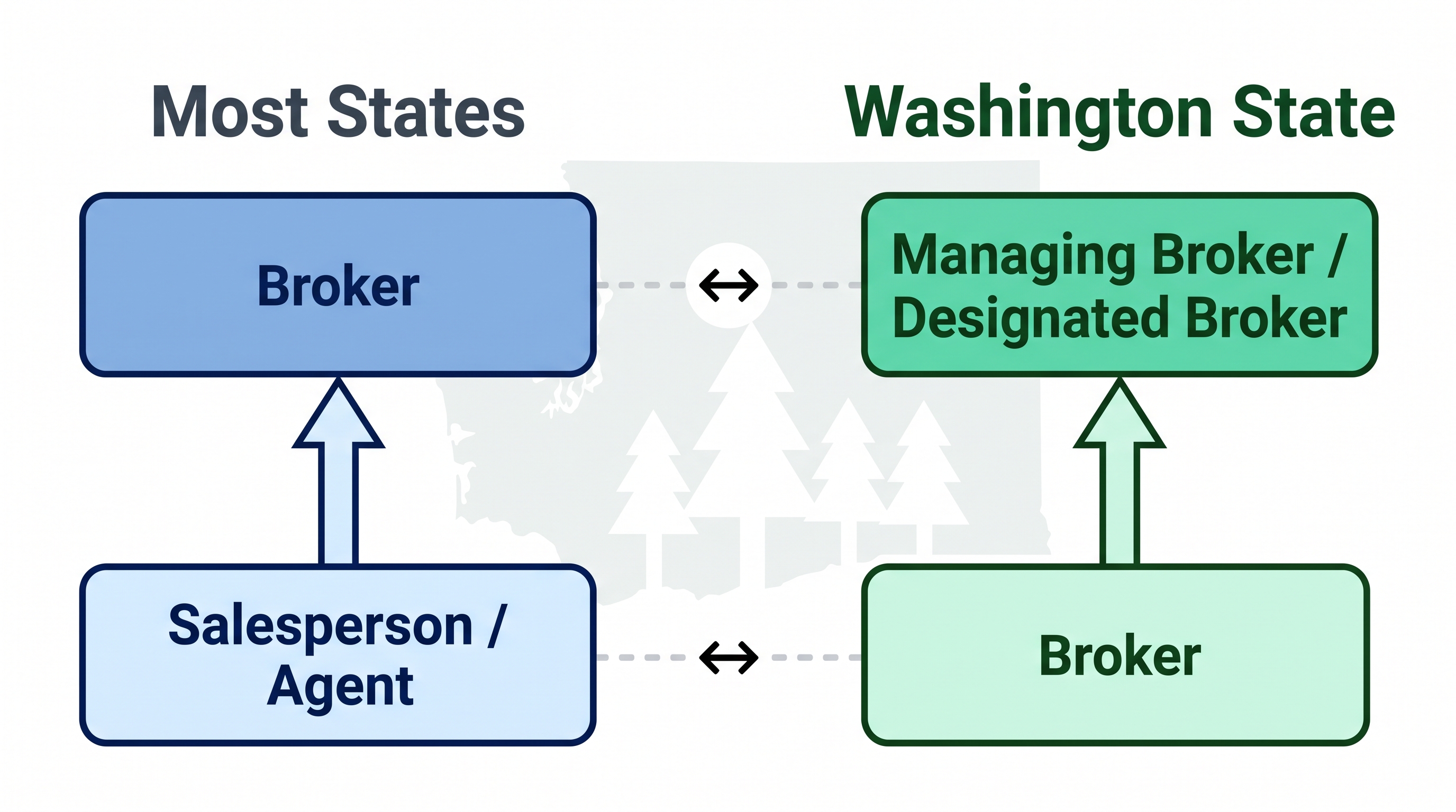 Side-by-side comparison diagram showing that Washington's entry-level 'Broker' license is equivalent to other states' 'Salesperson' or 'Agent' license, and Washington's 'Managing Broker' or 'Designated Broker' is equivalent to what other states call a 'Broker.'