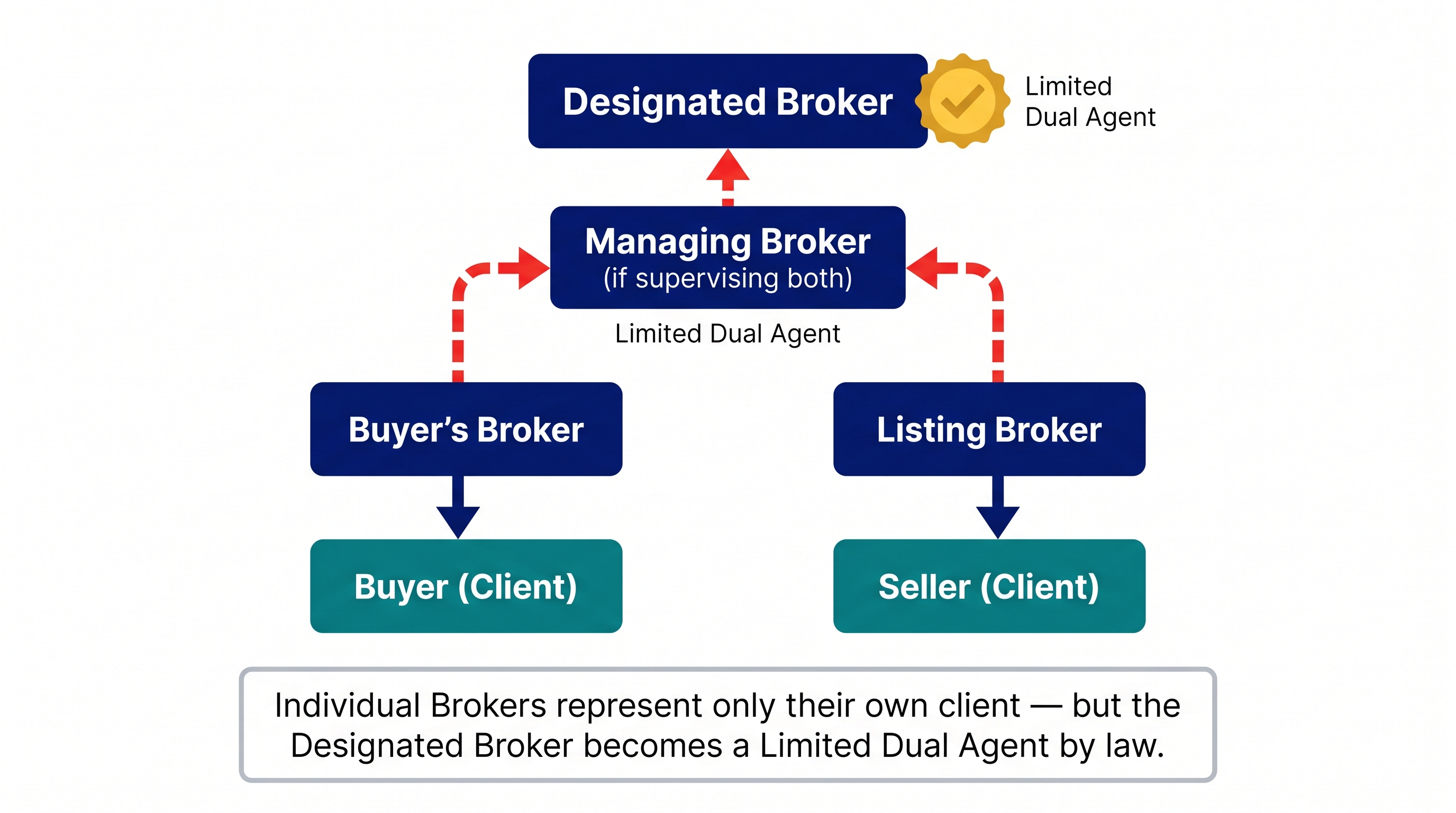 Flowchart diagram showing how agency representation flows in a same-firm real estate transaction in Washington State. The Designated Broker at the top automatically becomes a limited dual agent when the buyer's broker and listing broker both work under the same firm, even though each individual broker represents only their respective client.