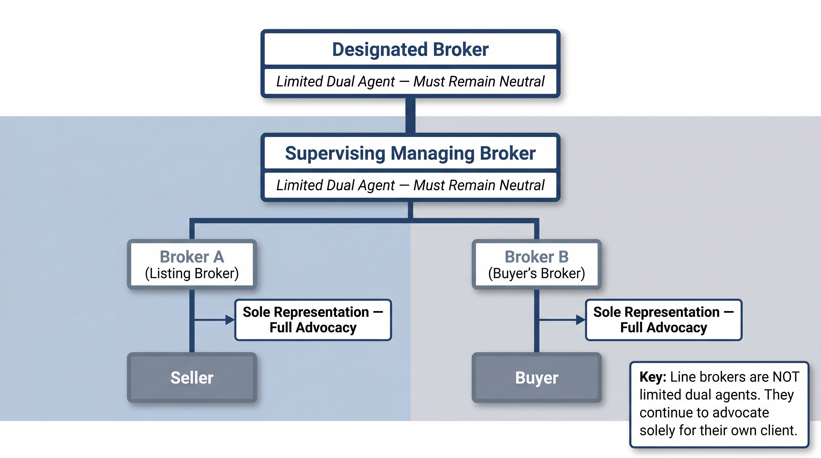 Organizational diagram showing the dual agency structure in a same-firm Washington real estate transaction. The Designated Broker and Managing Broker are shown as limited dual agents who must remain neutral, while the two line brokers below them each solely represent their own client — the seller and the buyer respectively.